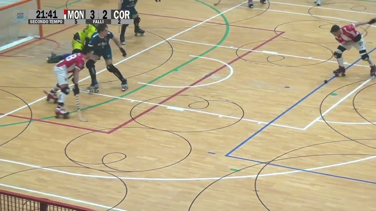 Highlights - Serie A2 - Gir.A - G.14 - Tierre Chimica Montebello x BDL Minimotor Correggio
