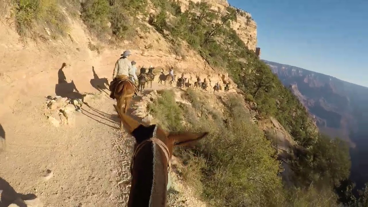 2022 Mule Ride