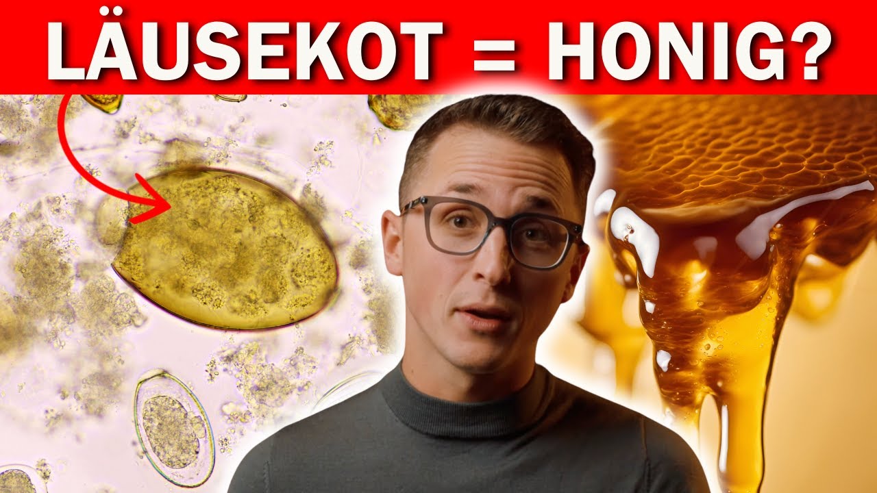Warum Waldhonig Bienen krank macht &ndash; und dich auch?