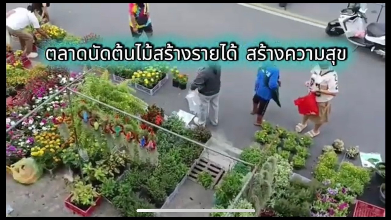 ตลาดนัดต้นไม้สร้างรายได้สร้างความสุข