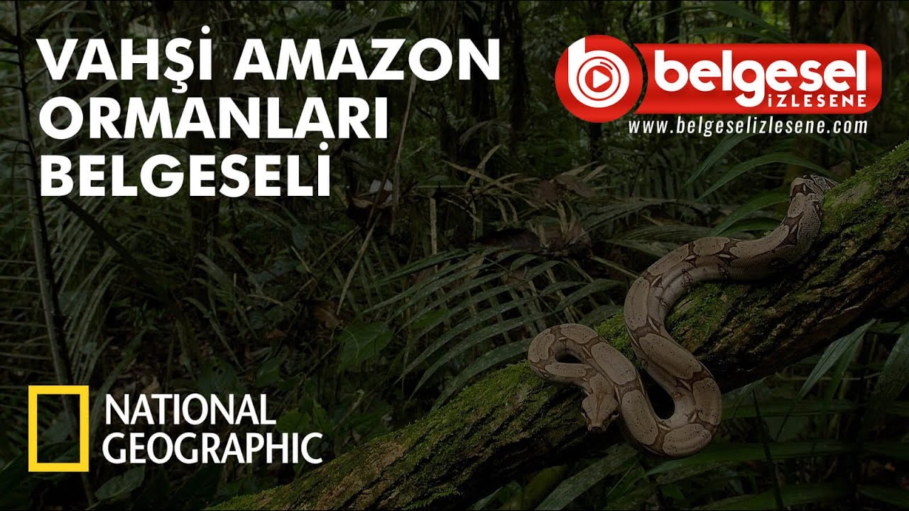 Vahşi Amazon Ormanları Belgeseli - T&uuml;rk&ccedil;e Dublaj
