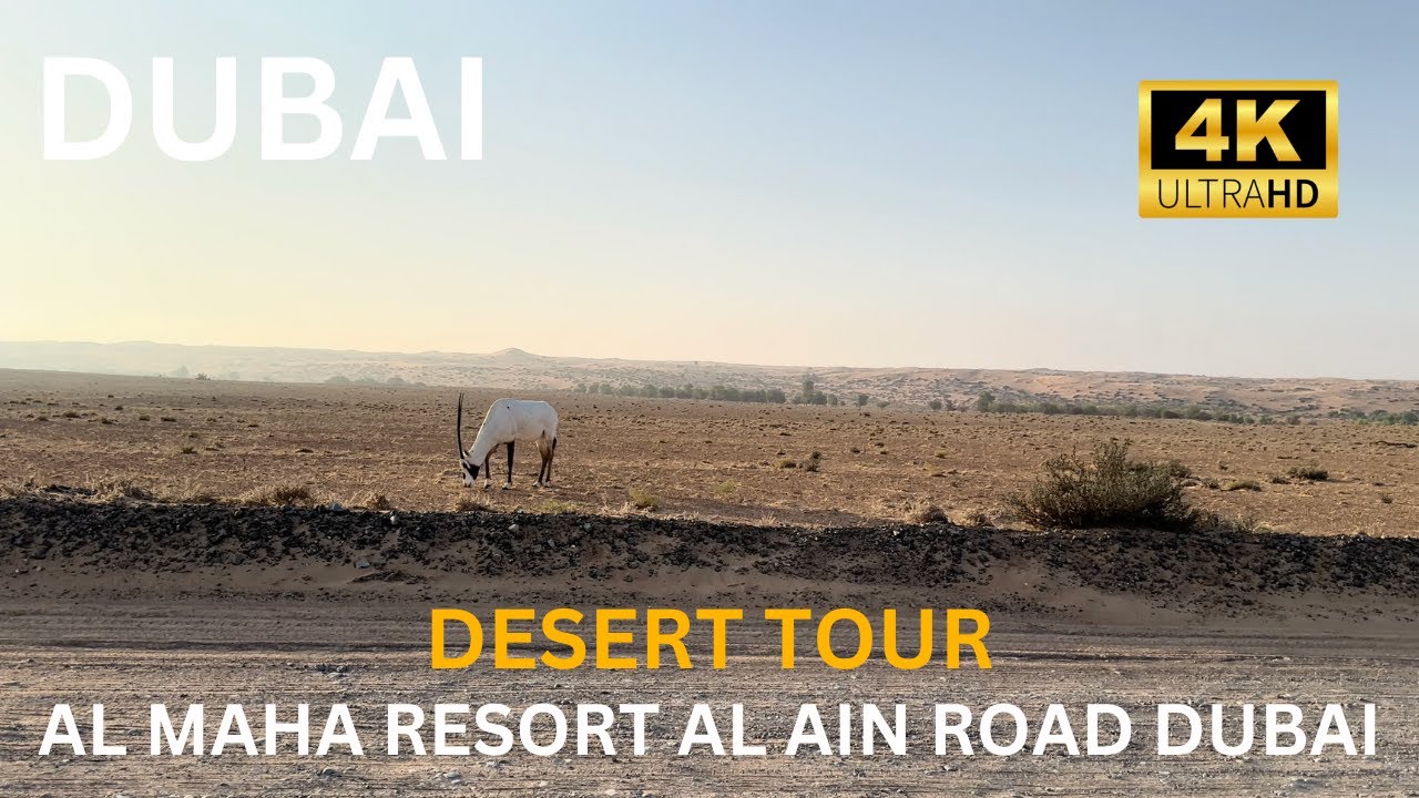 Explore the SECRET World of Dubai Desert Conservation Reserve!