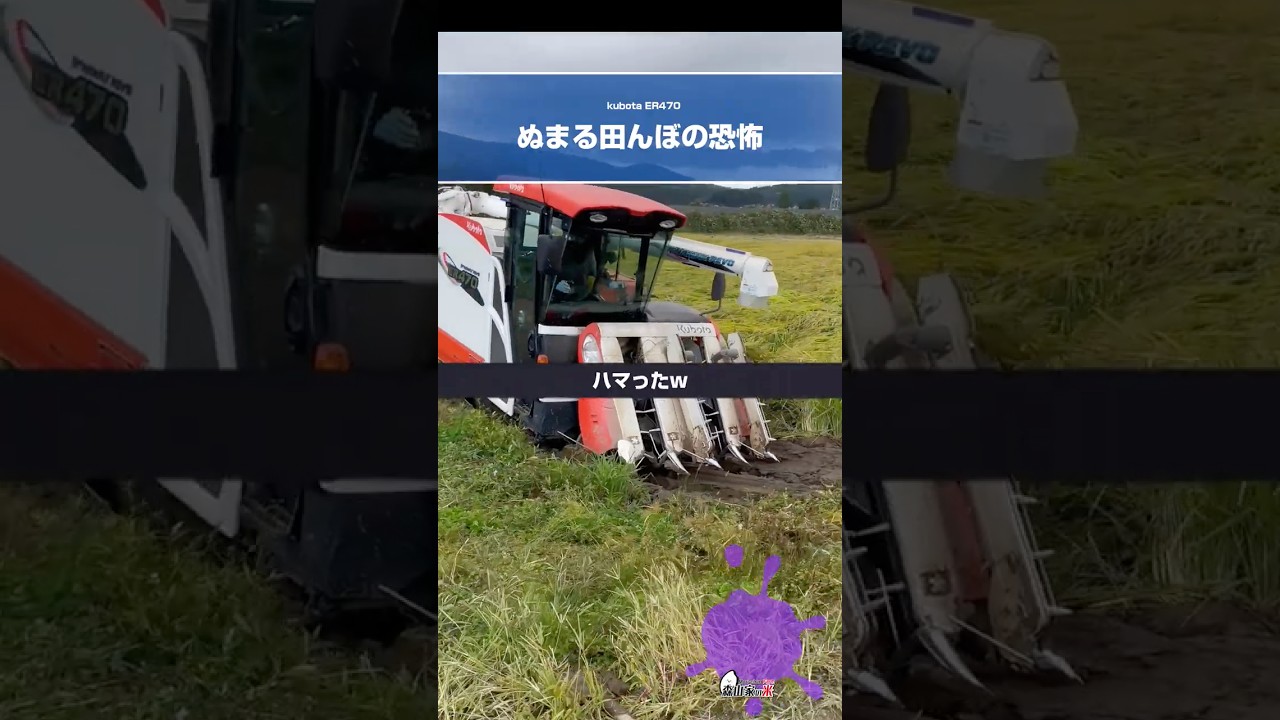 ⚠️ぬまって〇〇!?【稲刈り史上最悪】 #shorts