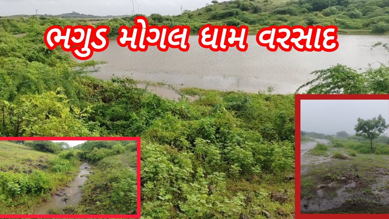 વરસાદ માં ભેહુ પોળિયુ ને વરસાદે ભુકા કાઢિનાખીયા
