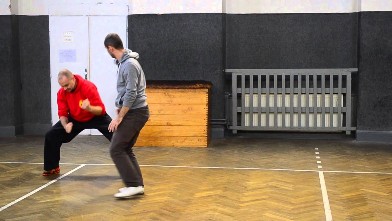 Paul Silfverstråle - Wudang Practical Tai Chi Chuan - pushing hands & striking skills - Prague 2014
