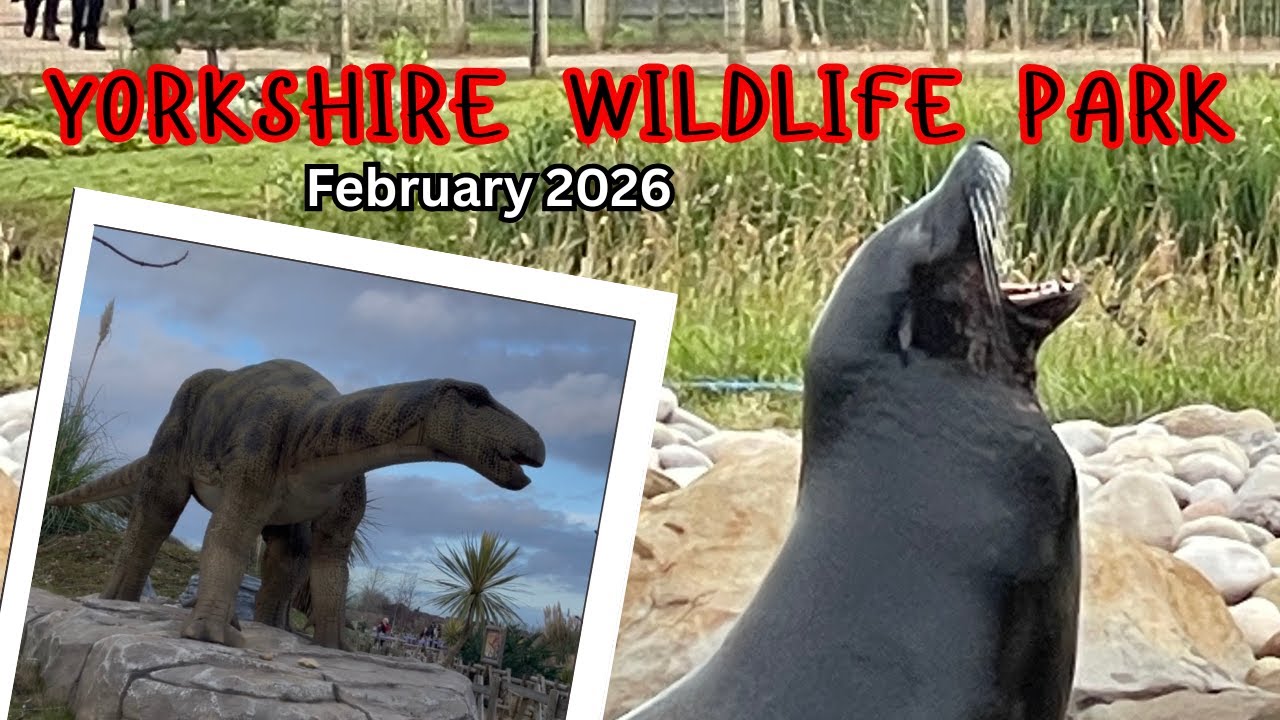 Yorkshire Wildlife Park in February 2026 #travel #doncaster #yorkshire