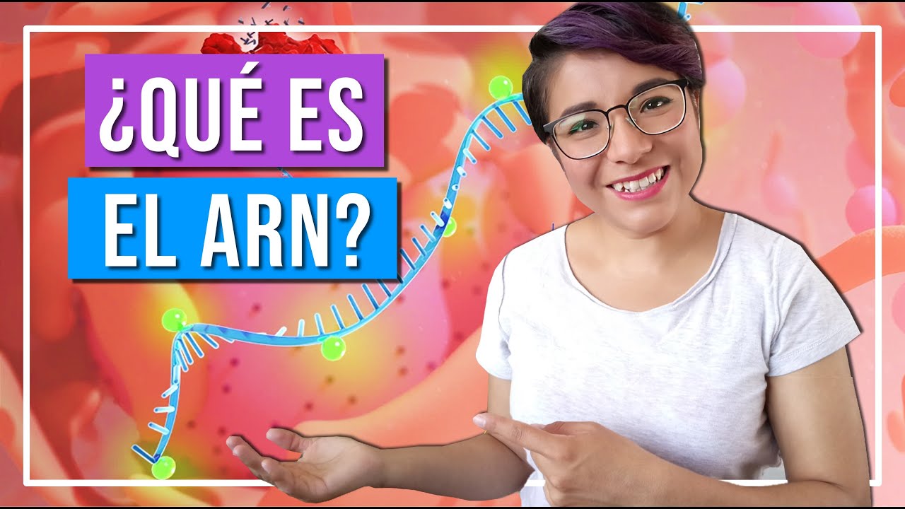 4 cosas que NECESITAS saber del ARN.