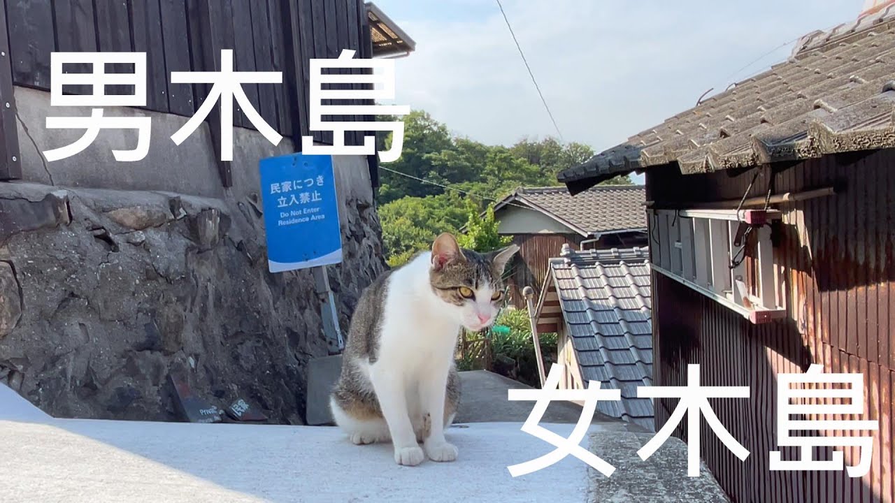 日本香川 | 男木島 女木島 男木島燈塔、豐玉姬神社、鬼島大洞窟、骨付鳥一鶴 #香川 #男木島 #女木島 #貓島