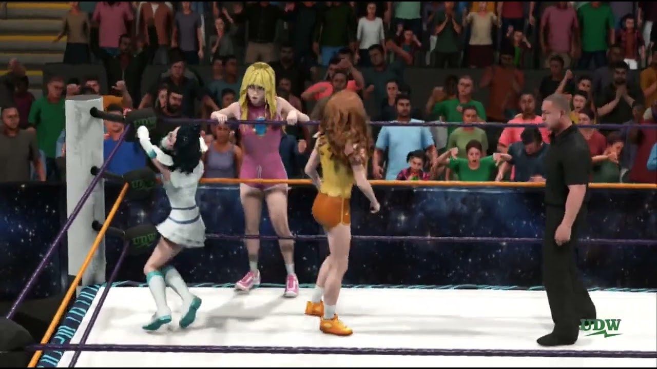 Daisy/Peach vs. Pretty Cure (c), W. Tag Team Championship (Star Wars VIII, M2)