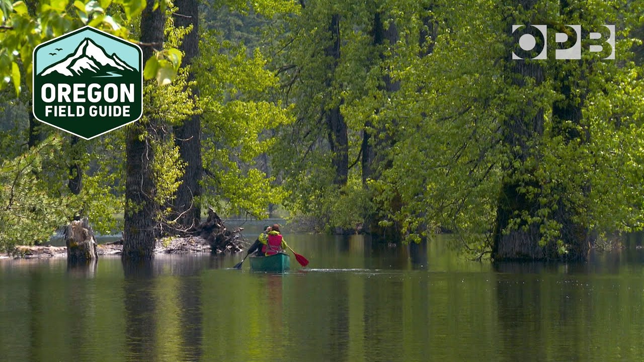 Exploring Washington’s mysterious disappearing lake | Oregon Field Guide