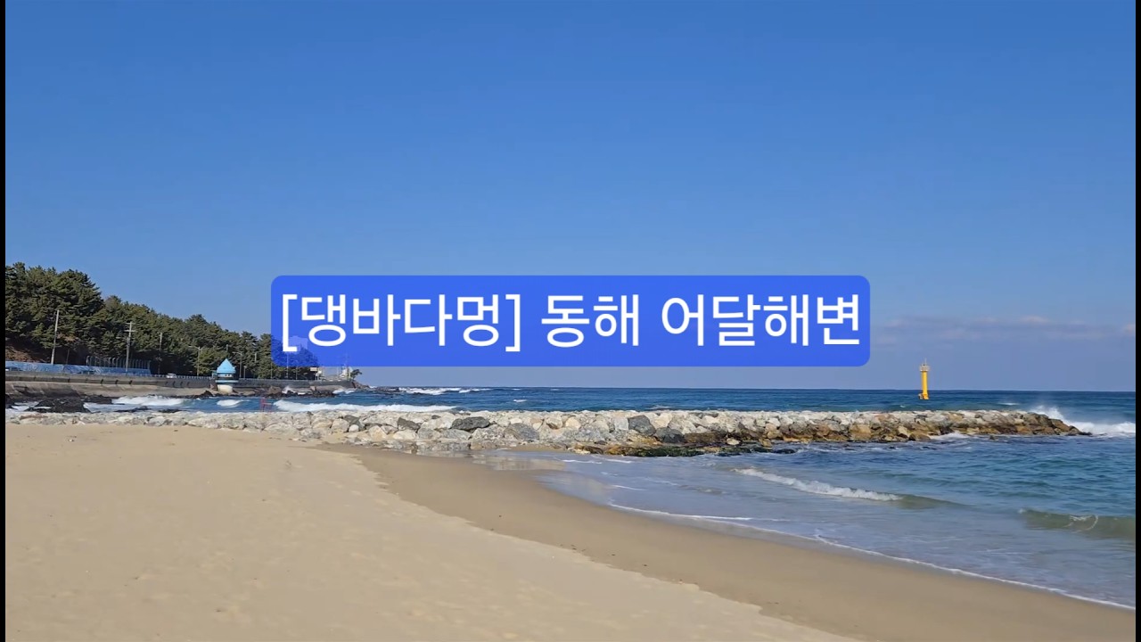 [댕바다멍] 동해의 보석, 어달해변에서 강아지와 보내는 완벽한 오후 🌊🐶