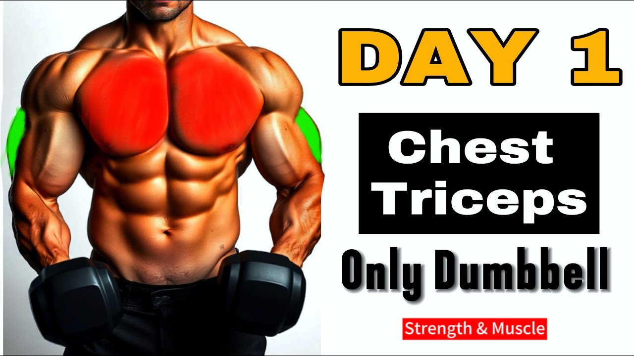 4 Day Muscle Building Dumbbell Workout Plan || Day 1 - CHEST And TRICEPS Workouts