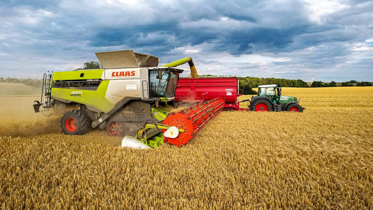 Gerstenernte 2023 | MV | Claas Lexion 8800 auf Raupen