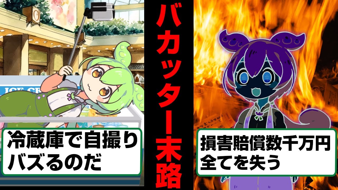 バカッターで大炎上したずんだもんの末路