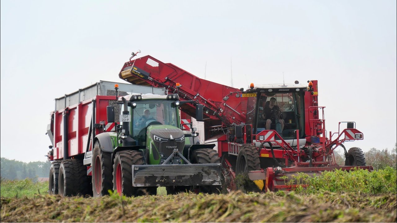 Mencke Landbouw B.V. | Aardappel rooien 2024 | Grimme Varitron 470 | Fendt 1050 + VGM hooglosser
