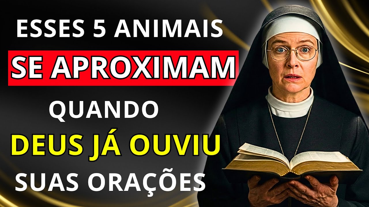 SANTA TERESA REVELA: 5 ANIMAIS QUE SE APROXIMA DE VOCÊ QUANDO SUAS ORAÇÕES ESTÃO SENDO RESPONDIDAS!
