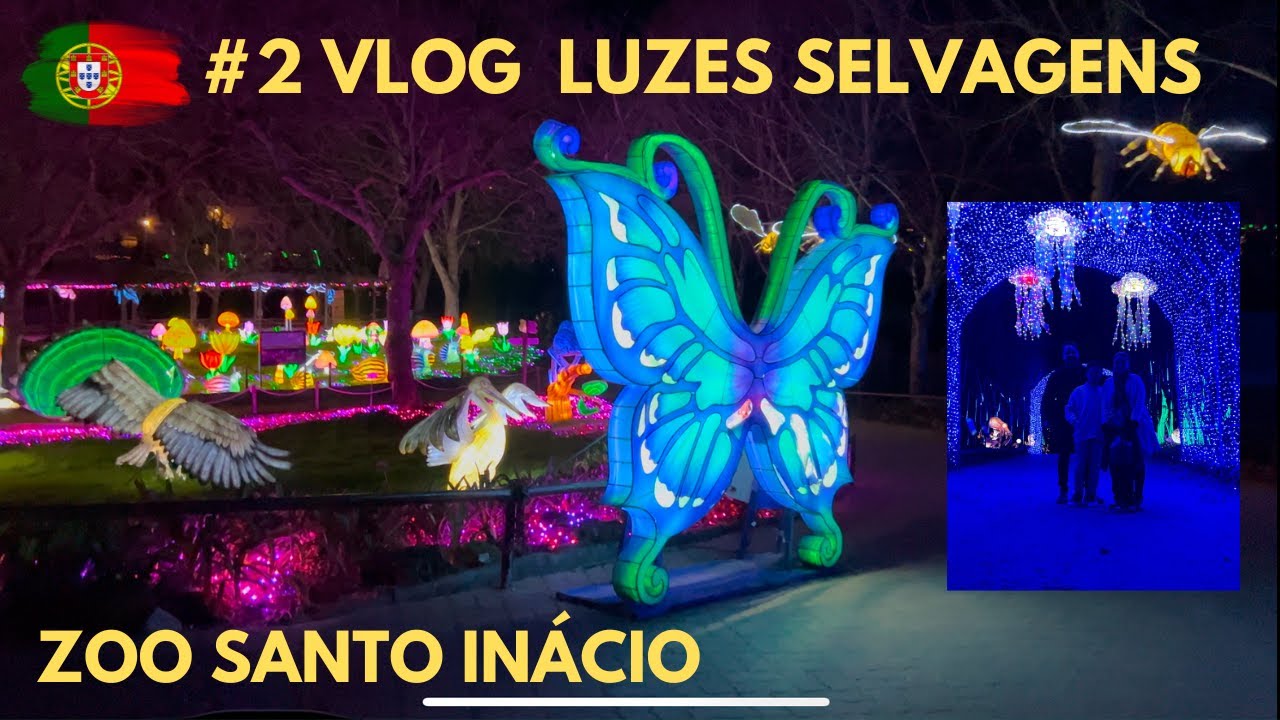 O QUE FAZER EM VILA NOVA DE GAIA | Luzes Selvagens Zoo Santo Inácio - VILA NOVA DE GAIA #vlog 🇵🇹
