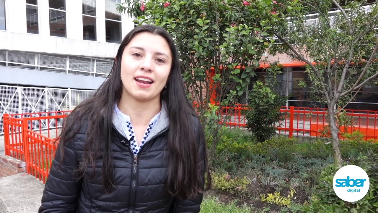 Aulas Virtuales