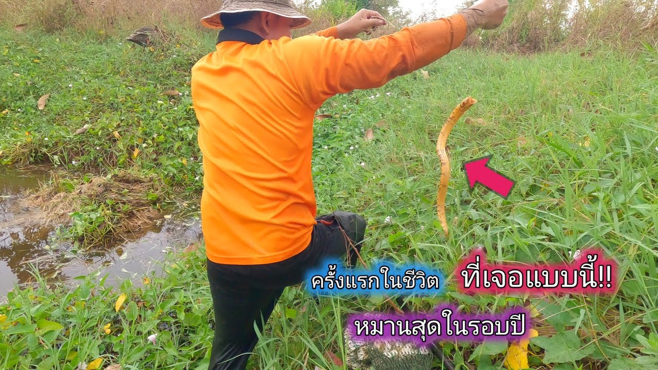 โคตรหมาน ครั้งแรกในชีวิตที่เจอแบบนี้!! ใส่เบ็ดโฟมหมานสุดในรอบปี กินต้มปลาไหลใหญ่เนื้อเปื่อย