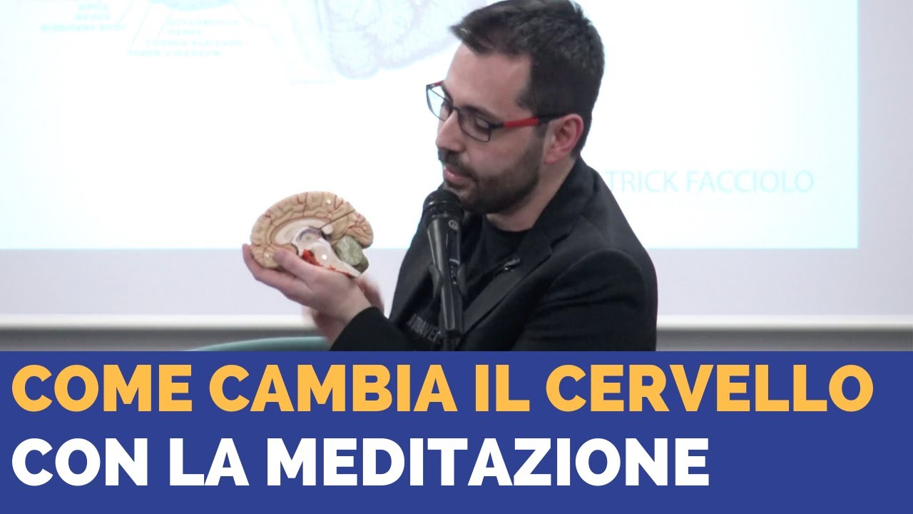 Come cambia il cervello con la meditazione