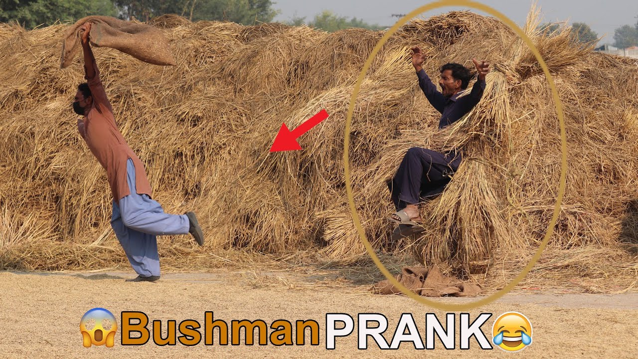 Epic Gone Wrong: Bushman Prank Fails!! Ultimate Bush Man Laughter Prank Videos Ever!😂😆