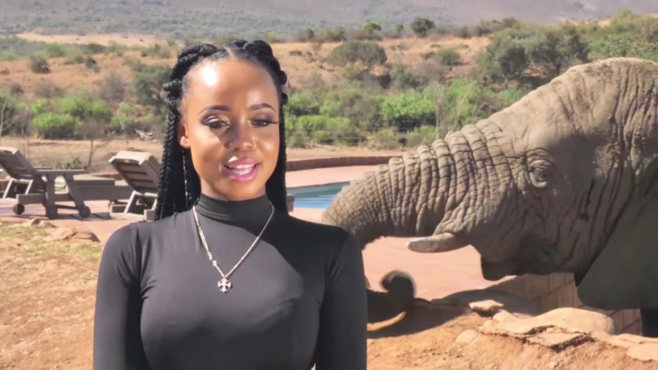 Time to meet the ladies of Tropika Island of Treasure Curacao | Top Billing