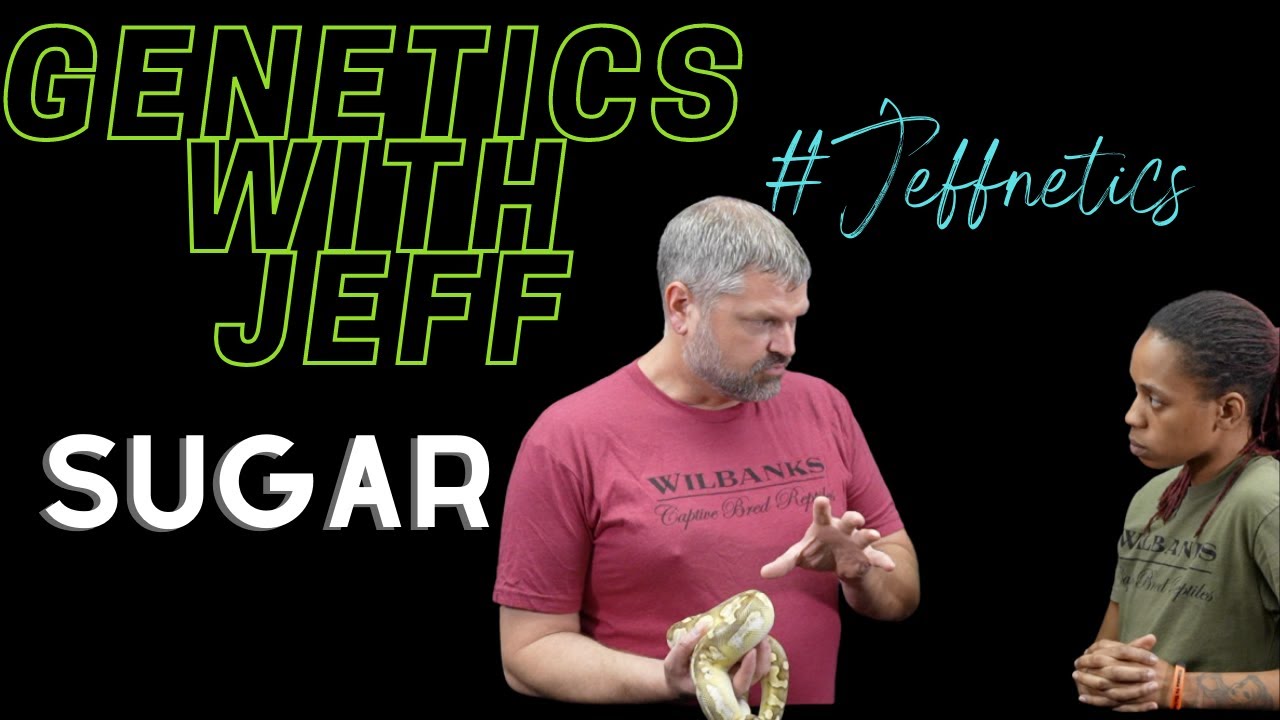 SUGAR - THIS GENE IS SWEET! #JEFFNETICS