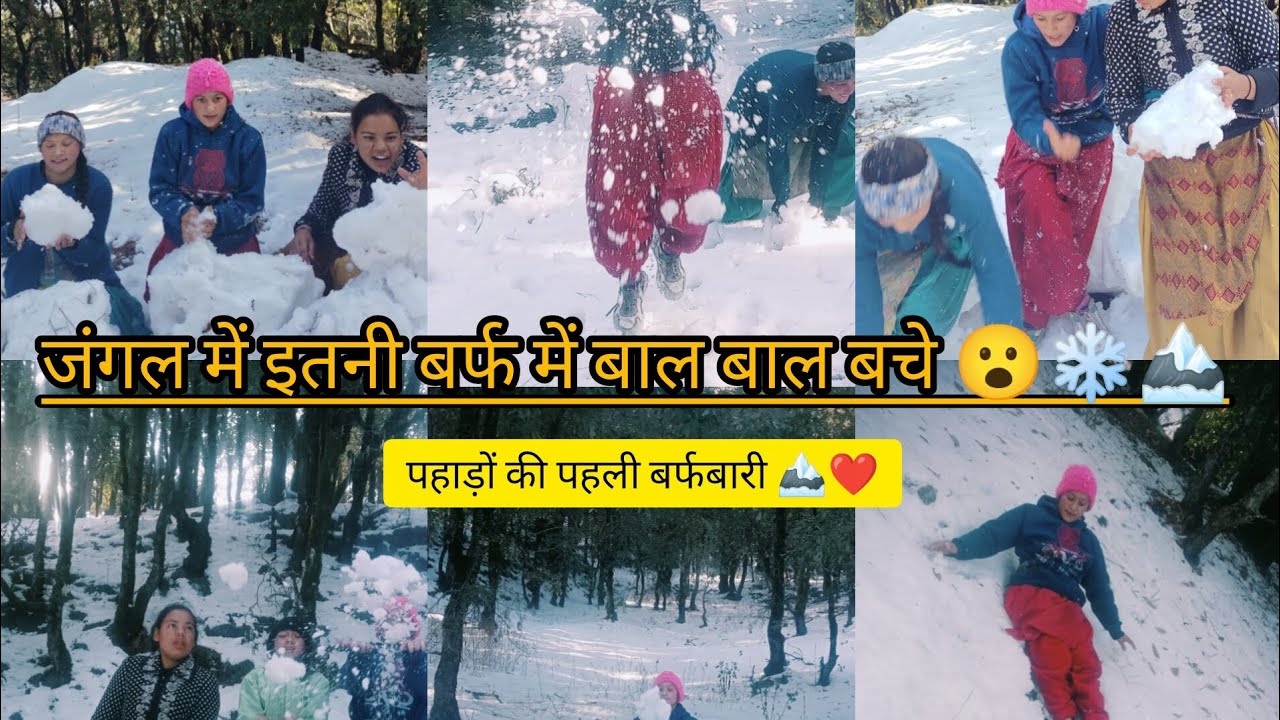 जंगल में बर्फ में मजे