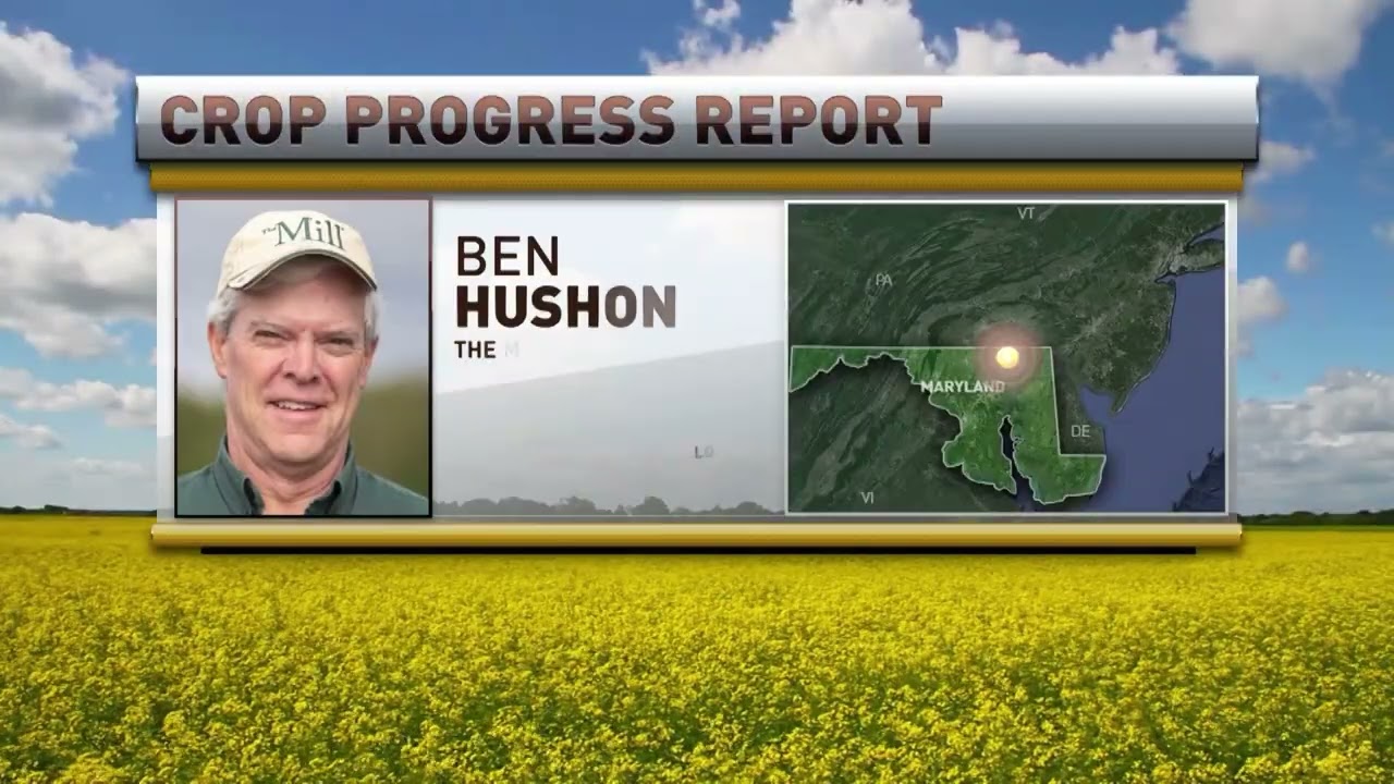 USDA Reports, Grain Markets & Wheat Establishment | Agronomy Update with Ben Hushon