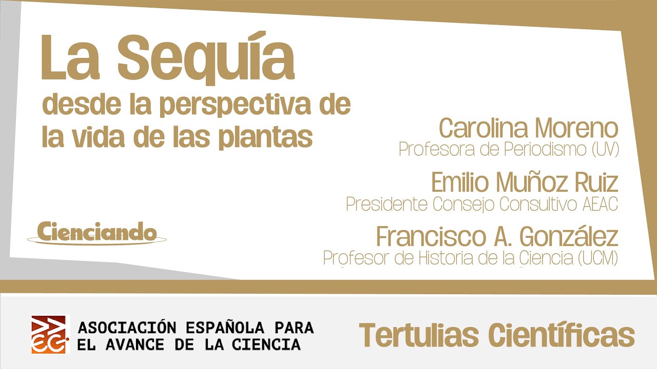 La sequía desde la perspectiva de la vida de las plantas. Tertulias Científicas. Cienciando.