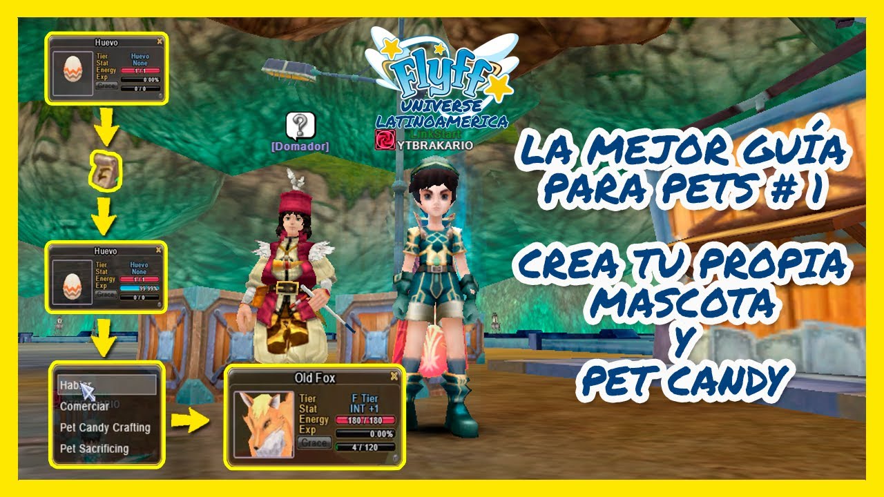 FLYFF UNIVERSE | LA MEJOR GUIA PARA PETS # 1 😎 | CREA TUS PETS Y PET CANDY ✨
