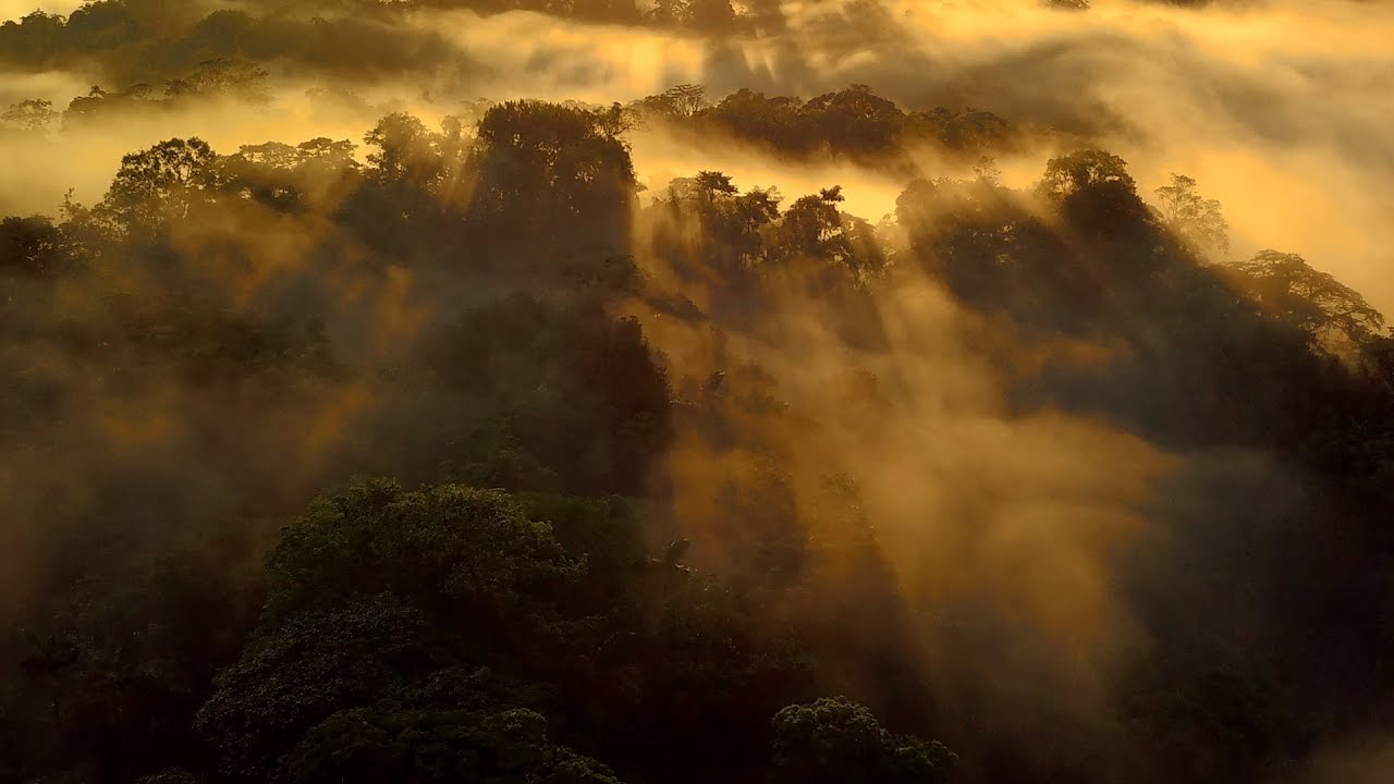 Mistico Arenal Hanging Bridges Park (Costa Rica) - Virtual guiding introduction
