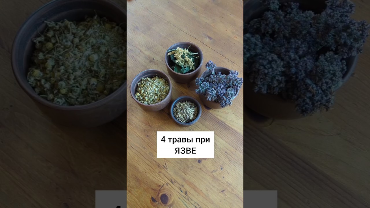 4 травы при язве и гастрите #травы #травыдляздоровья #здоровье #здоровьебезлекарств