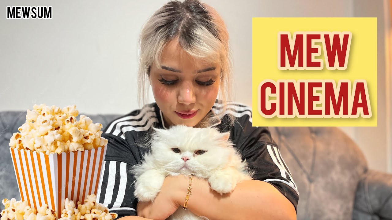 I Tried Watching a Movie… But My Cat Stole the Popcorn