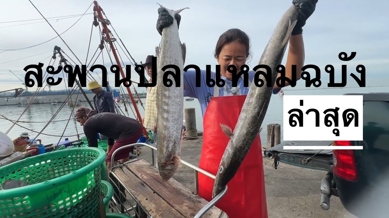 แหล่งซื้อขายของทะเลสด ขึ้นจากเรือประมง สะพานปลาแหลมฉบัง ล่าสุด