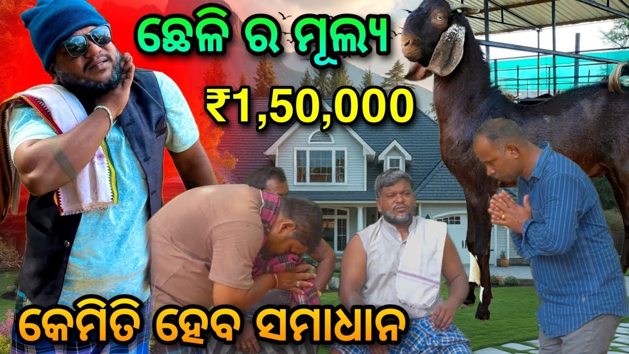 କ୍ଷେତିପୁରଣ କେତେ ଟଙ୍କା ଦେବି...🤔@salipurhappy