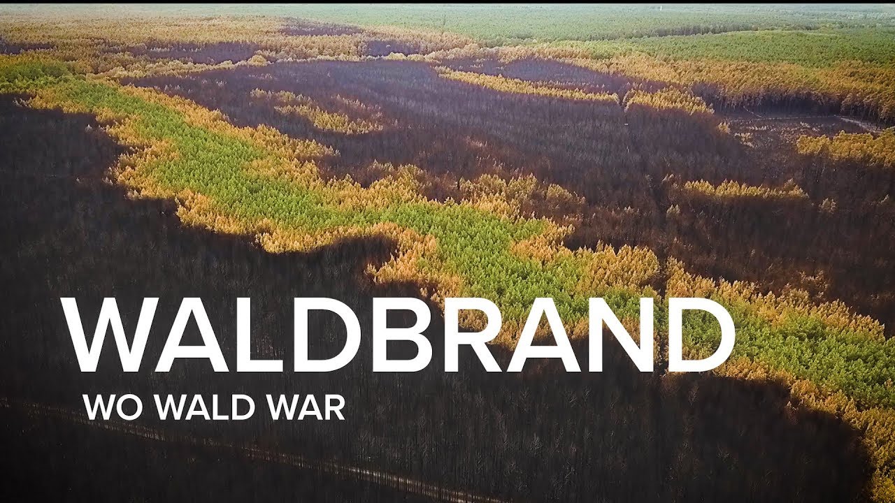WO WALD WAR - Waldbrand in Brandenburg