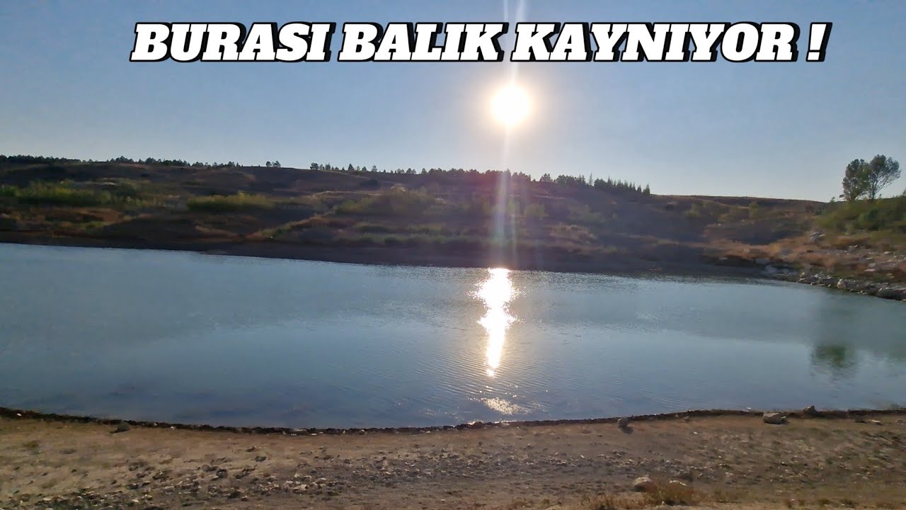 Burası Balık Kaynıyor ! Her Atışta Balık Yakaladık.