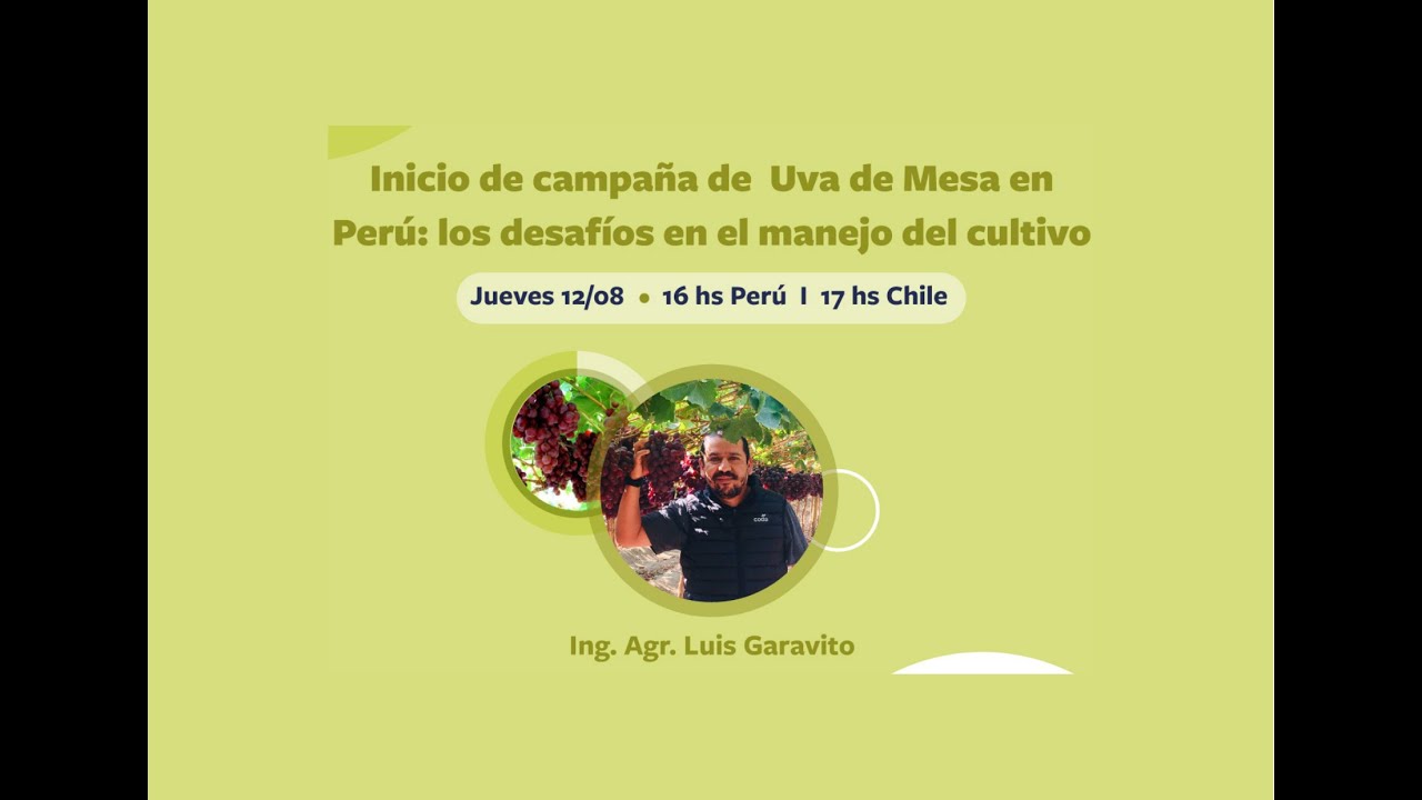 Webinar I Inicio de campaña de Uva de Mesa en Perú: los desafíos en el manejo del cultivo