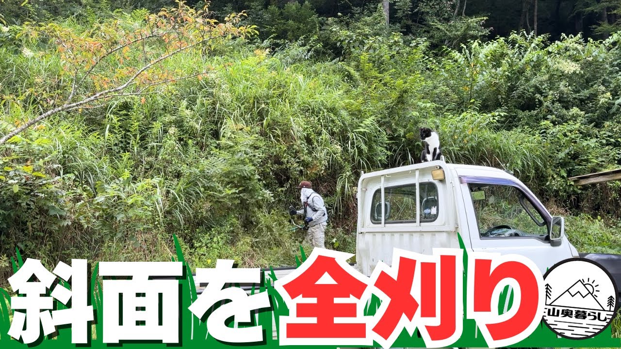 山の斜面を全部草刈り！刈った草はヤギへお届け