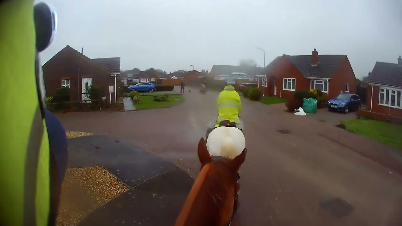 Hacking Harry And Olaf 22 Jan 26