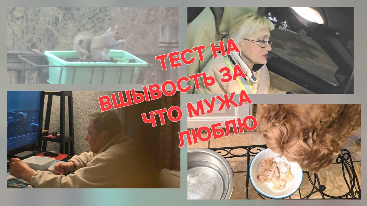 СПРОСИТЕ СВОИХ ДРУЗЕЙ,МУЖЕЙ , ДЕТЕЙ,ЧТОБЫ ЗНАТЬ//ВАШИ КОМЕНТЫ//БЕЛКА ГОЛОДНАЯ..