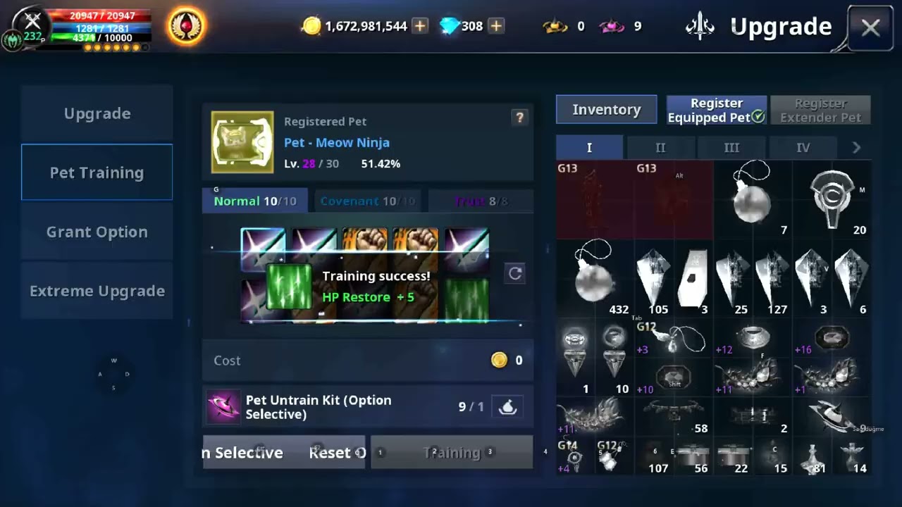 Cabal Mobile 05.01.2025 21 x Pet Untrain MCR Denemesi