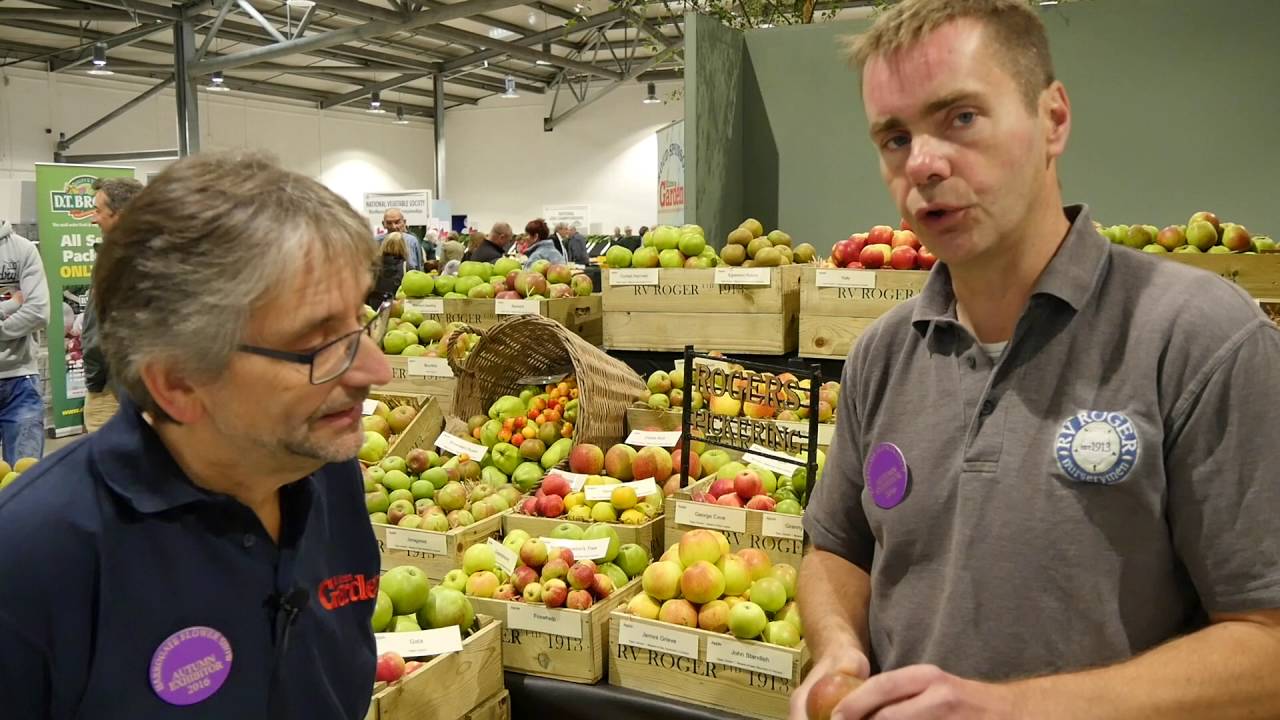 RV Roger - Apples | Harrogate Autumn Flower Show 2016