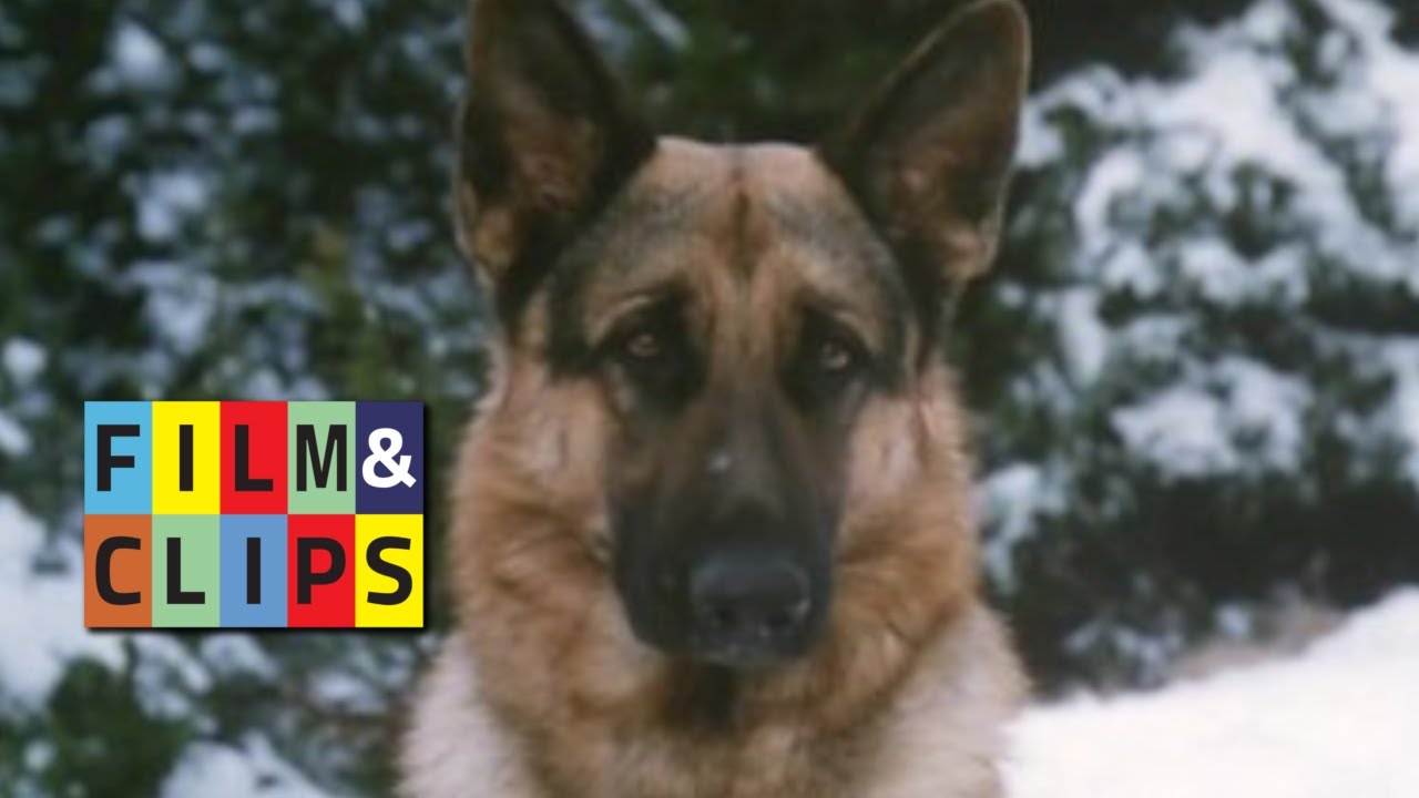 Bucks Gr&ouml;&szlig;tes Abenteuer - Film Komplette by Film&Clips