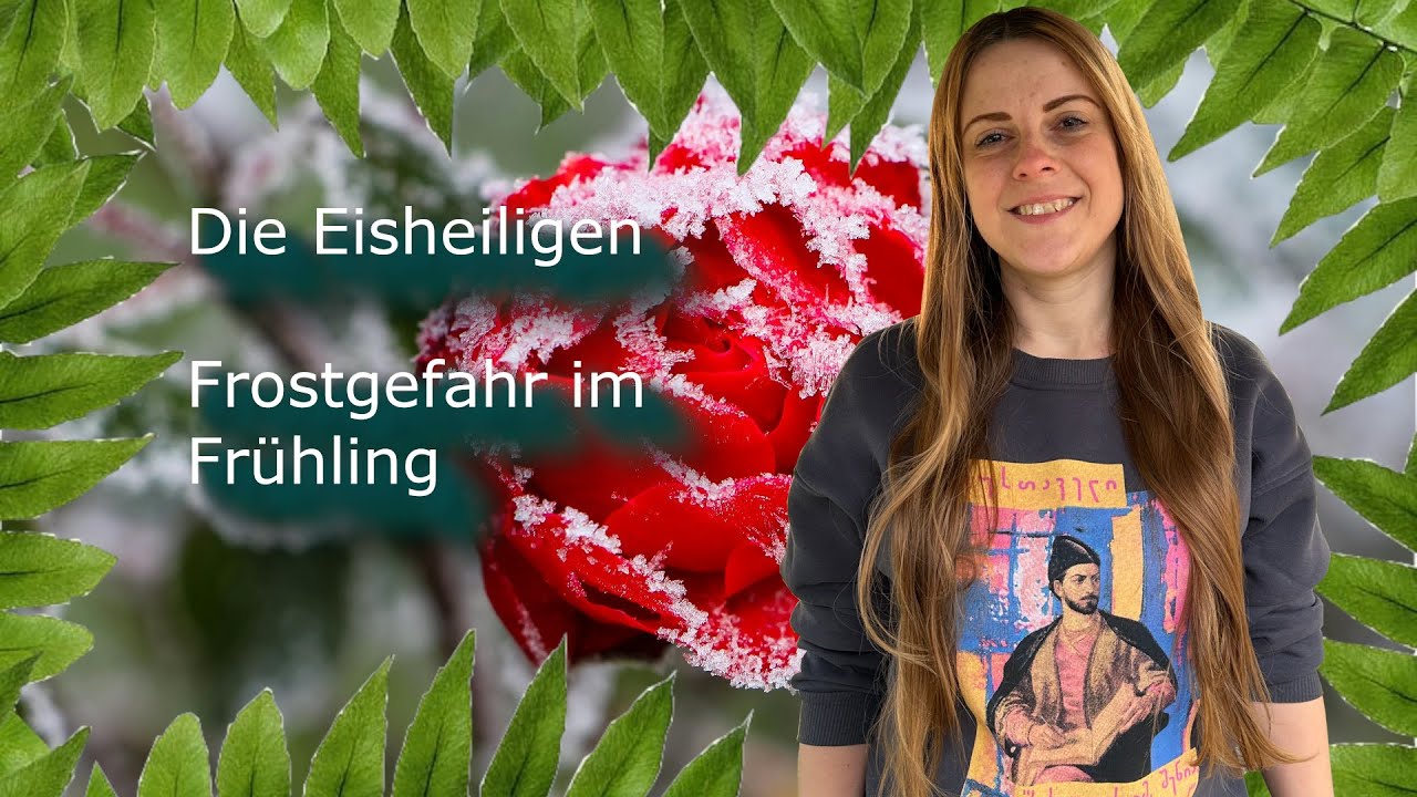 ❄️ Die Eisheiligen - Frostgefahr im Fr&uuml;hling ❄️