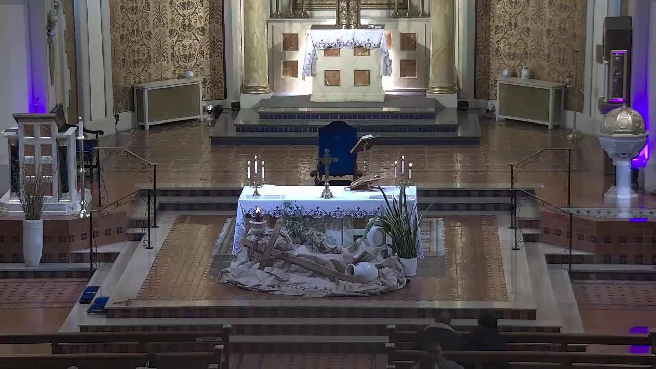 11 AM Mass — Sunday, February 22, 2026