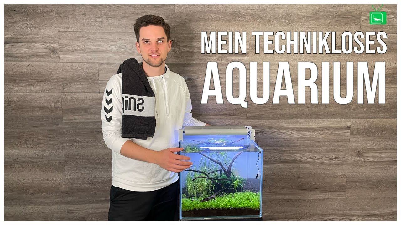 TECHNIKLOSES AQUARIUM  | BODENREINIGUNG | GarnelenTv