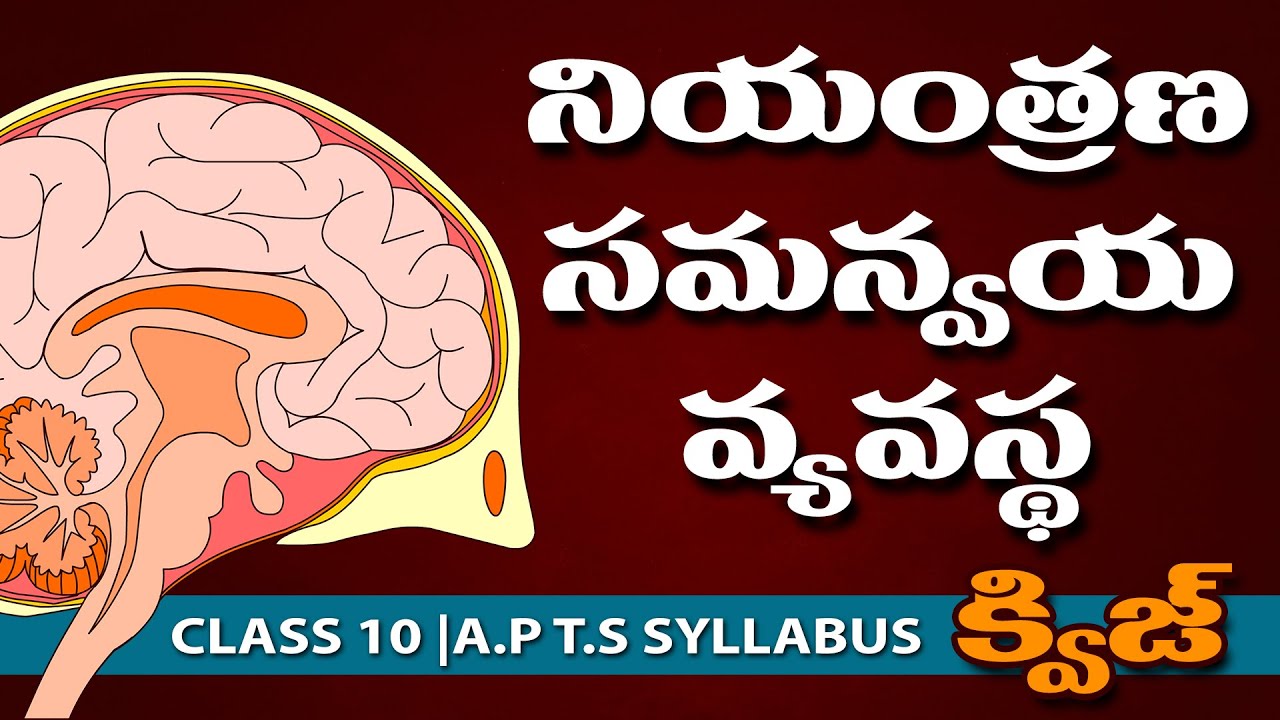నియంత్రణ వ్యవస్థ quiz #Niyantrana vyavasta quiz in telugu | class 10th biology in telugu