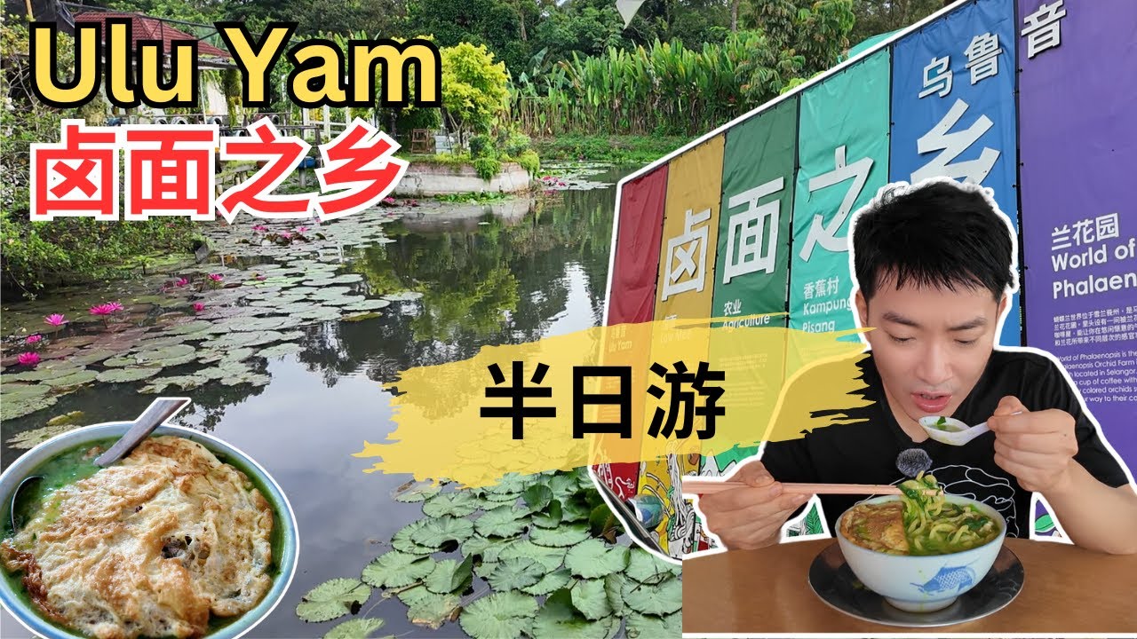[Ulu Yam卤面之乡～半日游] 真好吃卤面，虾米猪肠粉！根记芋头排骨面和家乡生面～黑白双面！福来椰子虾，黑啤鸡翼！百年老字号瑞麟福建饼麻蓼，蓼花！打卡兰花世界，暹罗寺庙，好好有机蔬菜园。
